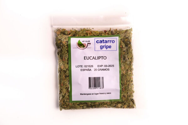 eucalipto