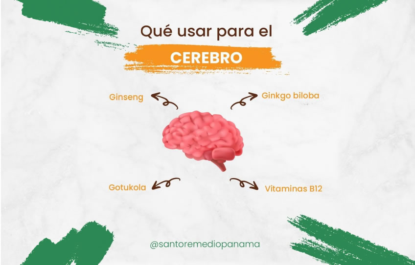 Qué hierbas usar para la salud del CEREBRO