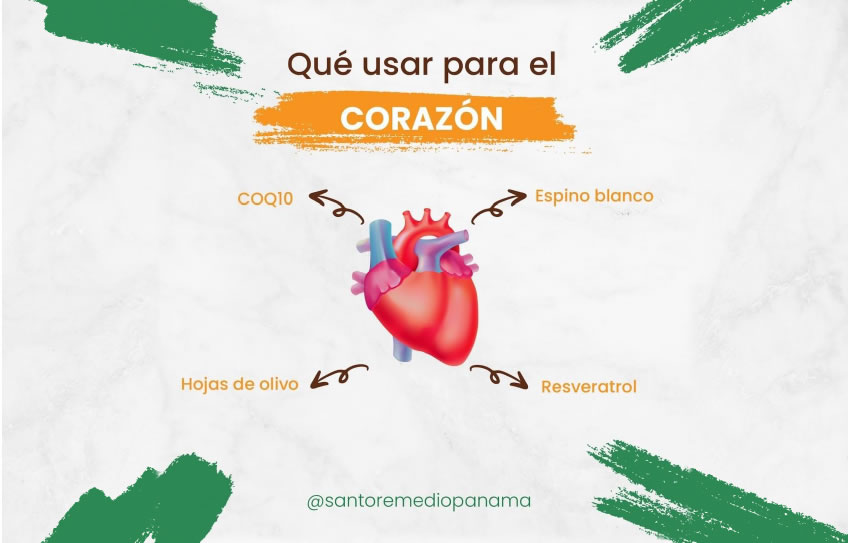 Qué hierbas usar para la salud del CORAZÓN