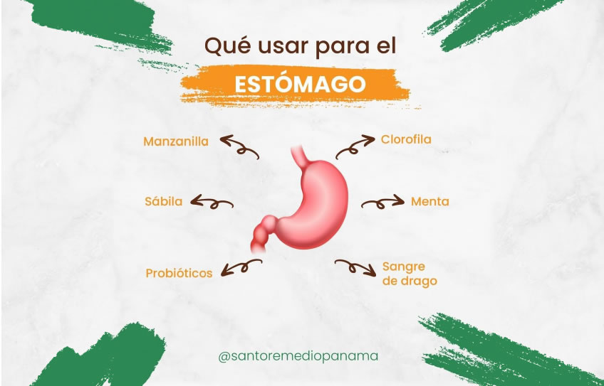 Qué hierbas usar para la salud del ESTÓMAGO