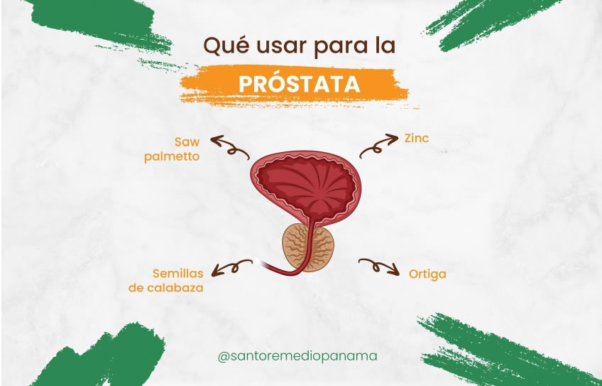 Qué hierbas usar para la salud de la PRÓSTATA