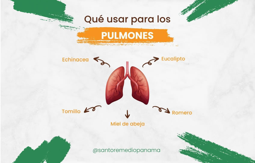 Qué hierbas usar para la salud de los PULMONES