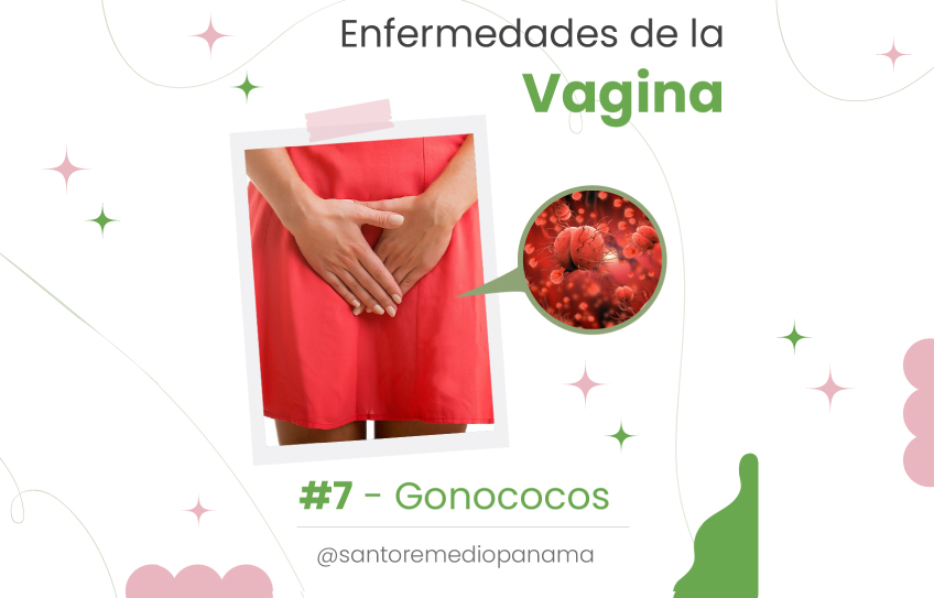 Enfermedades de la vagina: #7. GONOCOCOS